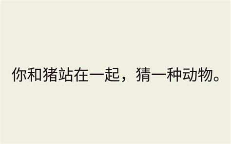 什麼動物可以貼在牆上|腦筋急轉彎什麼動物可以貼在牆上